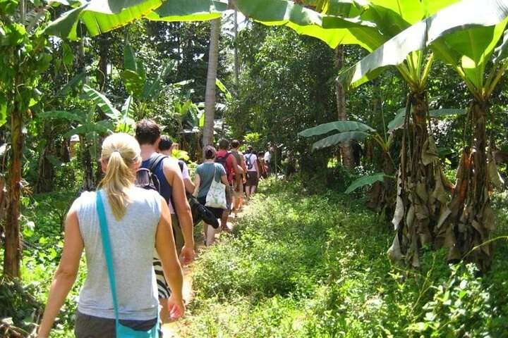 Jozani Forest and Spice Farm Combo Tour